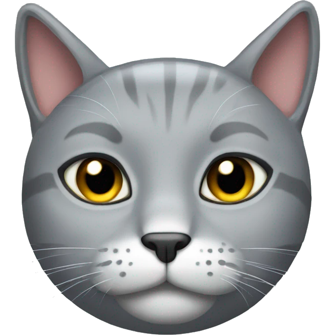 Grey cat put slipper on his head emoji