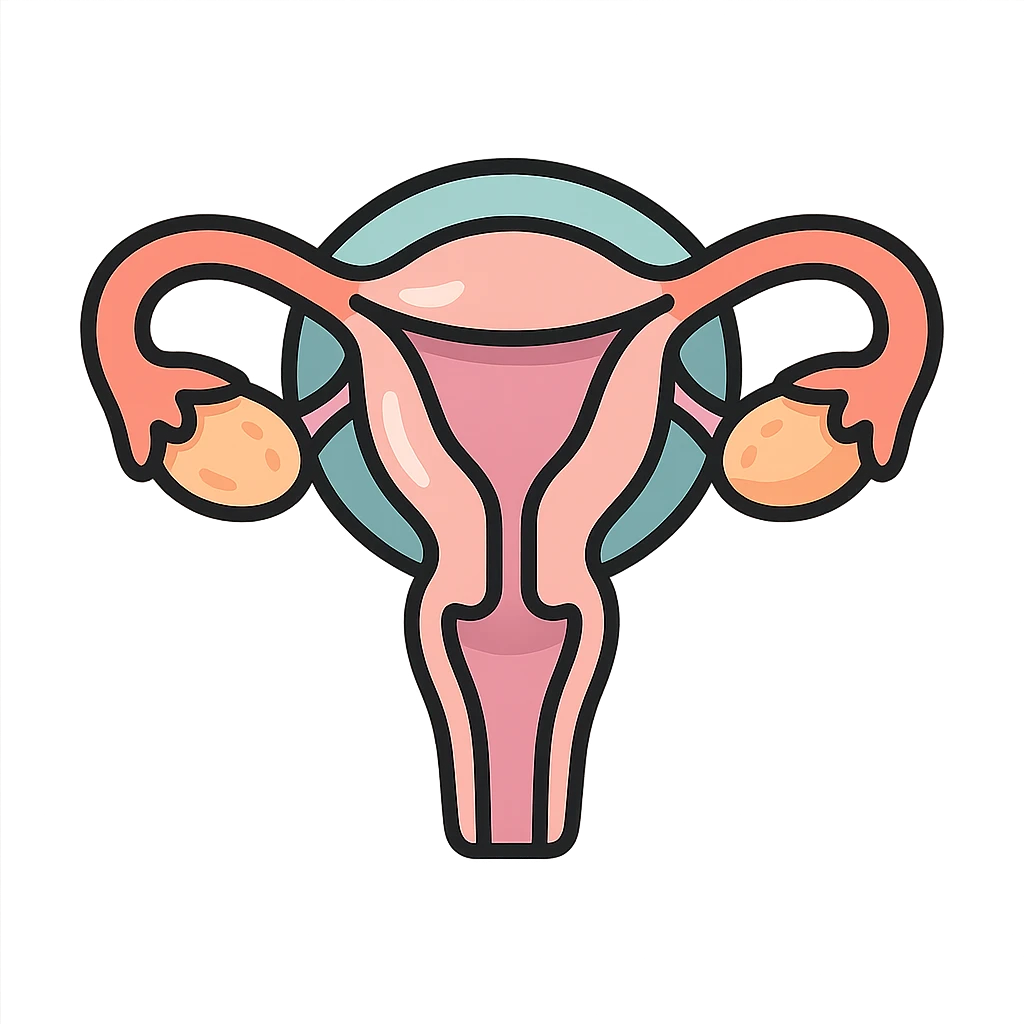 female uterus, detailed with visible elements (ovaries, fallopian tubes), detailed shadows and highlights, thin clean contours, soft rounded shapes, pastel palette #98B5BC, #B5B3C1, #C9A3C9, #E4C0CA, #F7DCD1, #F7C0AA, modern Japanese pop art and sticker aesthetic, soft lighting, transparent background emoji
