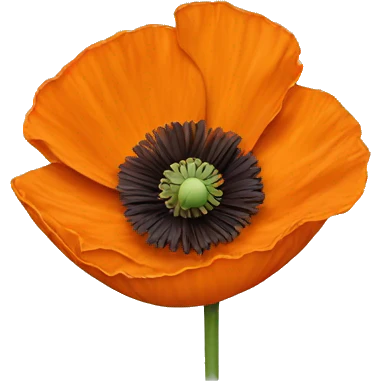 Orange poppy emoji
