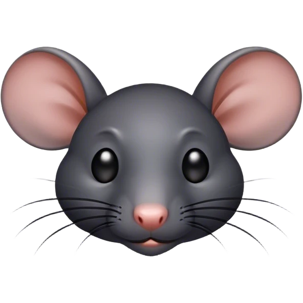 Black rat ￼ emoji