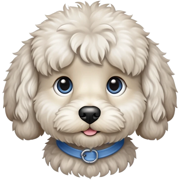 Cream and gray cockapoo with one brown eye and one blue eye emoji