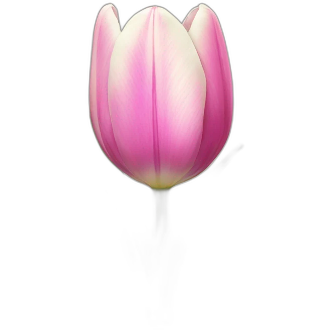Tulip flower emoji