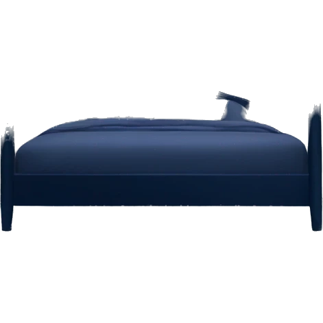 Midnight blue canopy bed with sheer curtains emoji