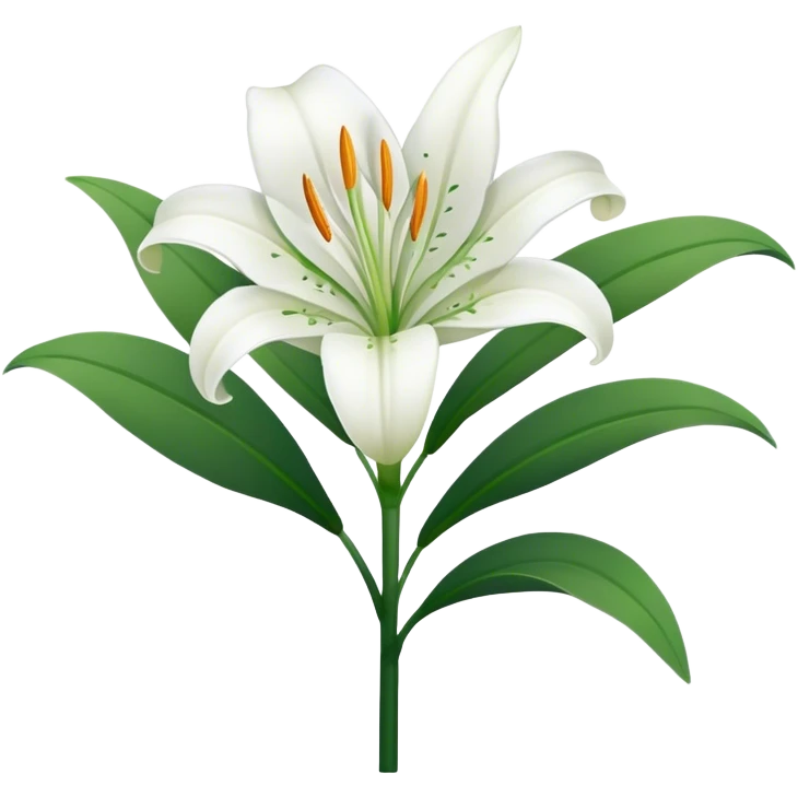 single Snow White Lily, straight stem emoji