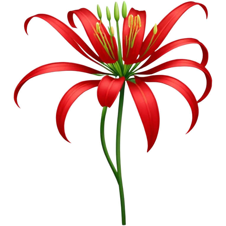 паучья лилия emoji