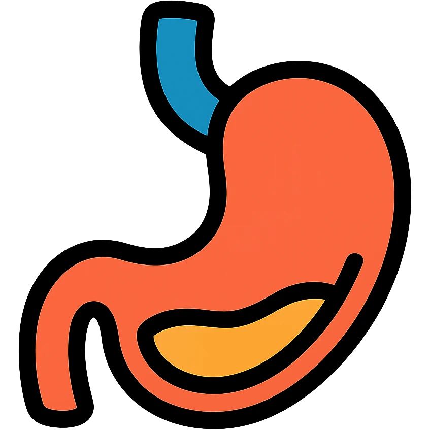 colorful outlined icon of a stomach emoji