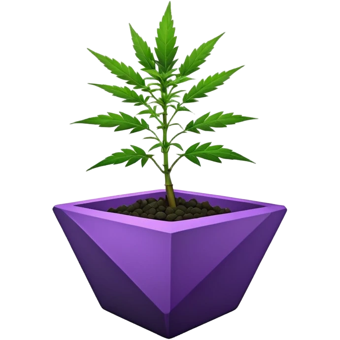  small short black bonsai pot plant purple marijuana with triangular angular faceted asymmetrical originally shaped body  emoji