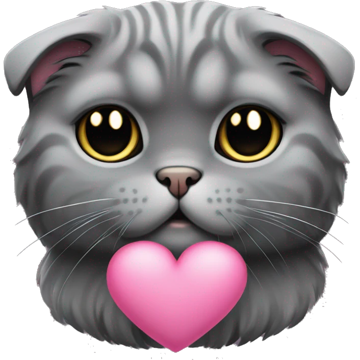 all dark grey Scottish Fold Cat long hair pink heart emoji
