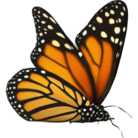 Monarch butterfly  emoji