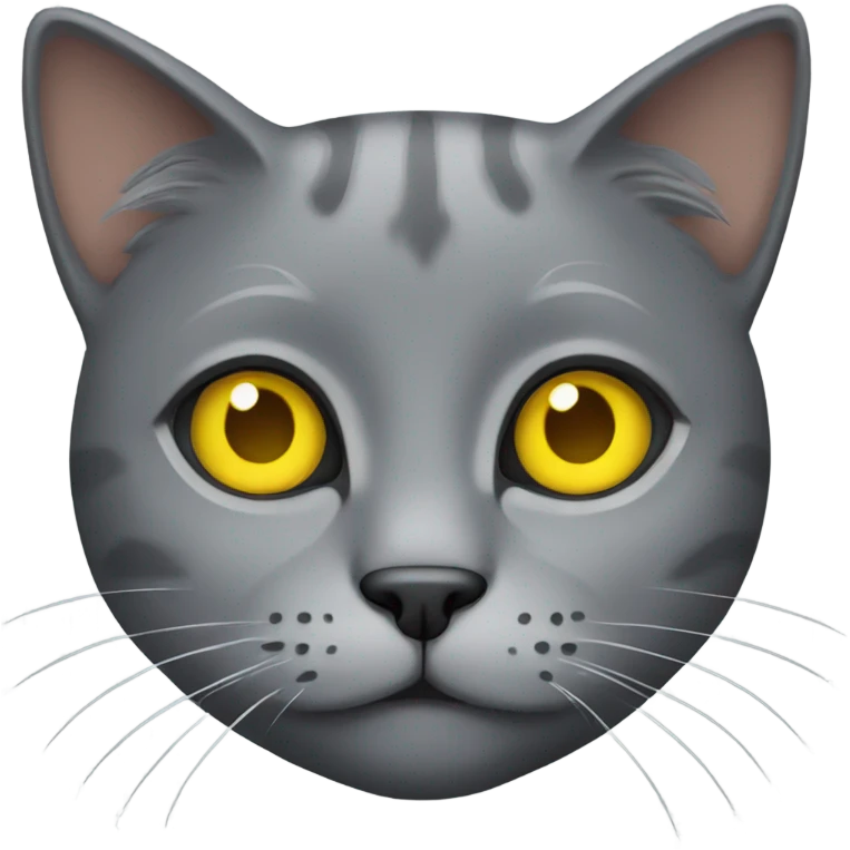Gray cat with yellow eyes emoji