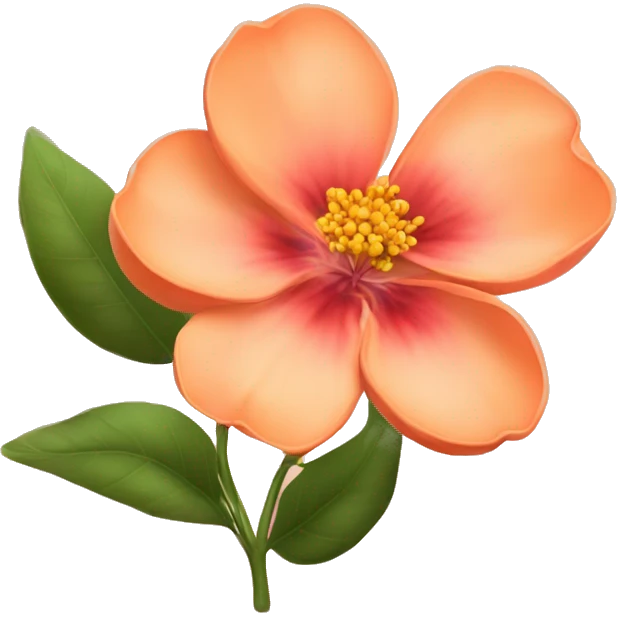 Peach colour Flower 🌹  emoji
