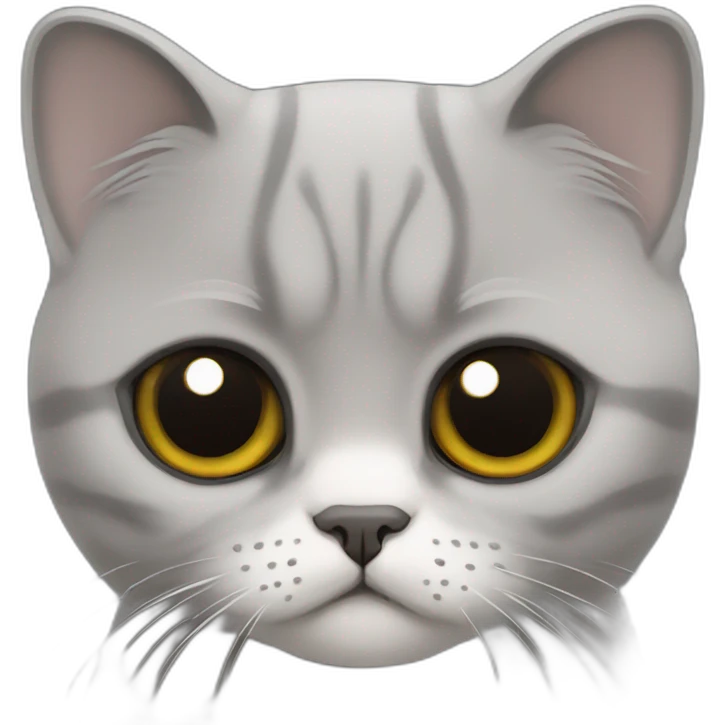 Chat scottish fold gris emoji