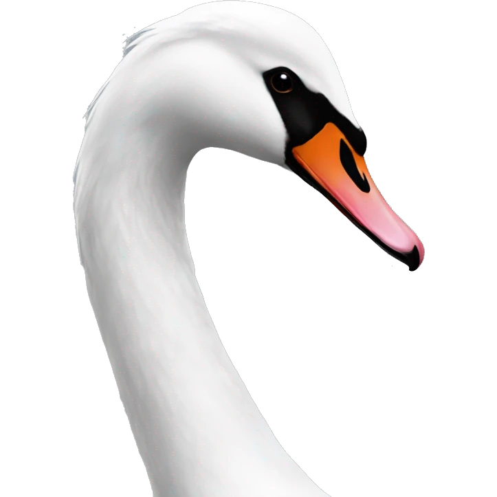 Black and white hybrid swan  emoji
