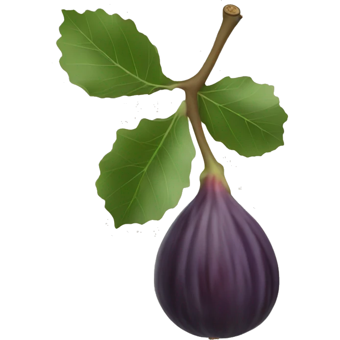 fig the fruit emoji