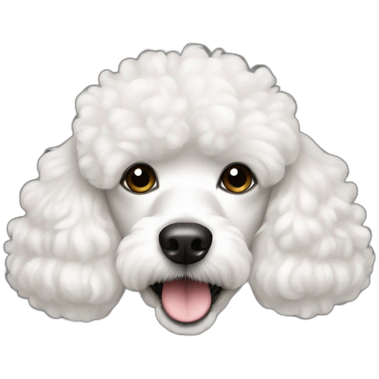 a white coco poodle dog with cute eyes looking at screen emoji