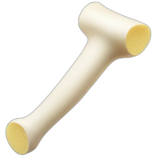 Long bone and a washing sponge emoji