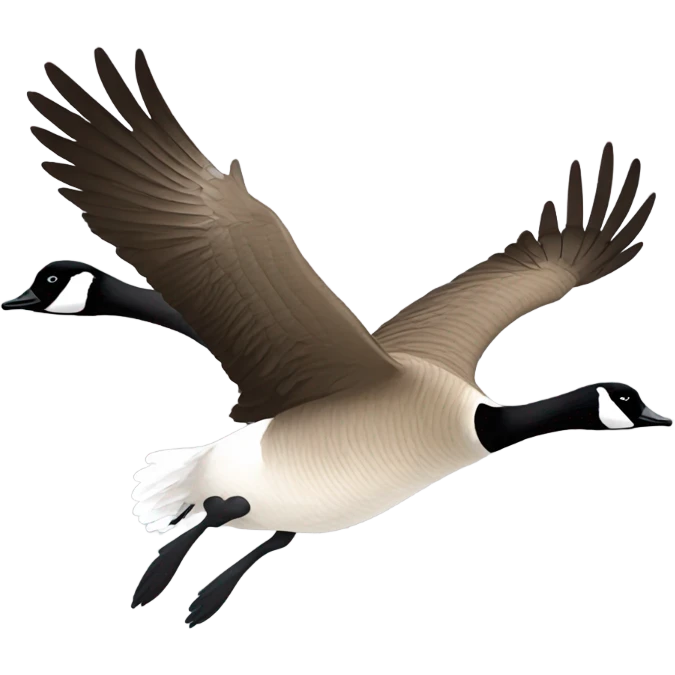 Canada goose in flight emoji