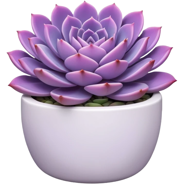 Purple echeveria succulent in white pot emoji