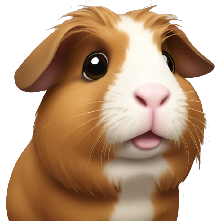 Guinea pig brown emoji