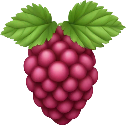 arctic-raspberry emoji