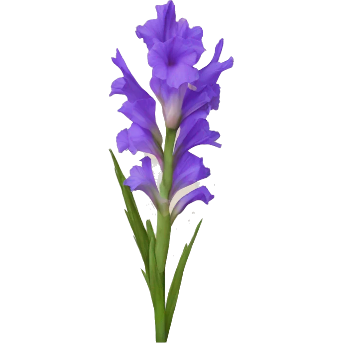gladiolus  emoji