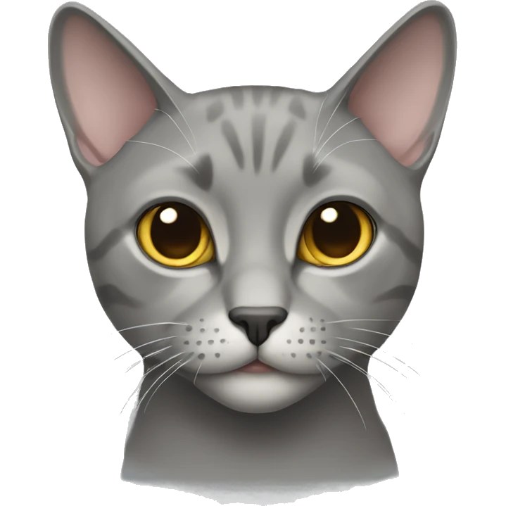 Grey male brittish short hair cat emoji