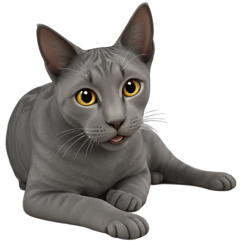 realistic cat holding object emoji