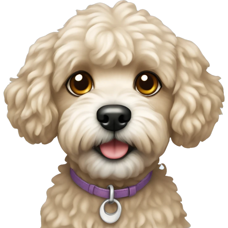 Dog maltipoo emoji