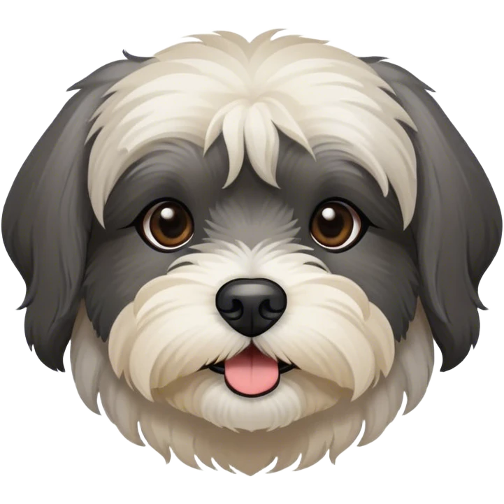 dark gray Havanese dog face BLACK muzzle emoji