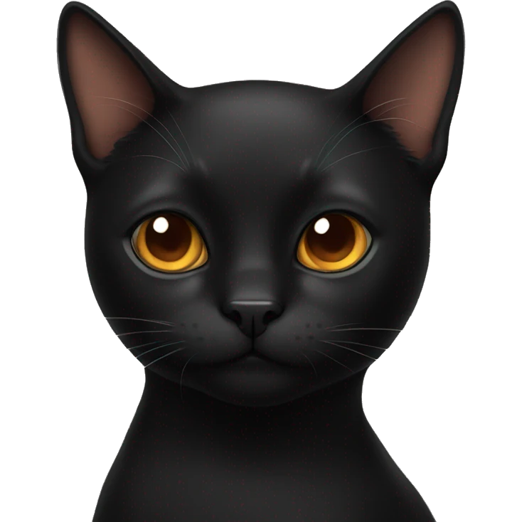Black cat with copper eyes emoji