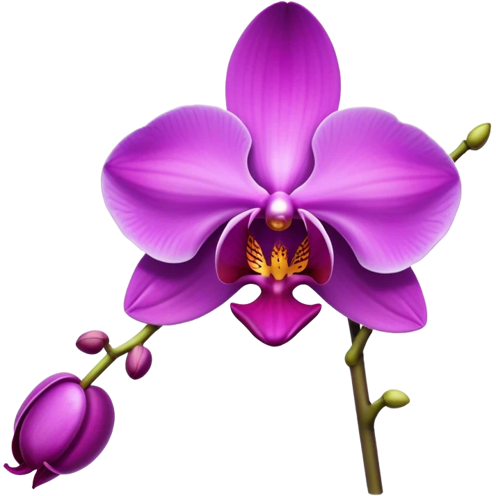Orquídea morada  emoji