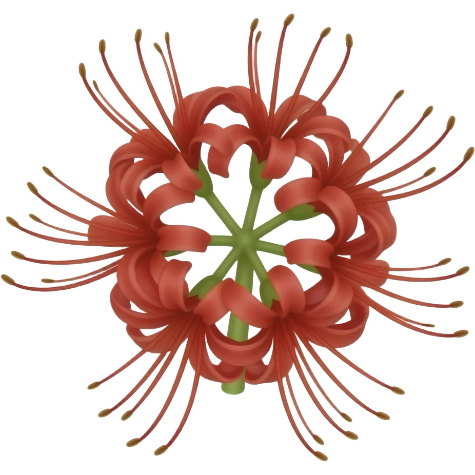 Red  spider lilly emoji