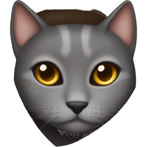 grey cat cozy in brown blanket  emoji