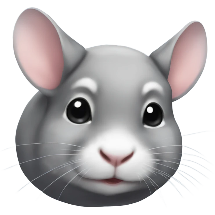 Chinchillas  emoji