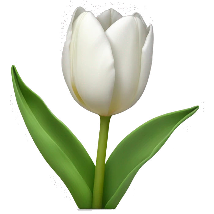 White tulips with bow emoji