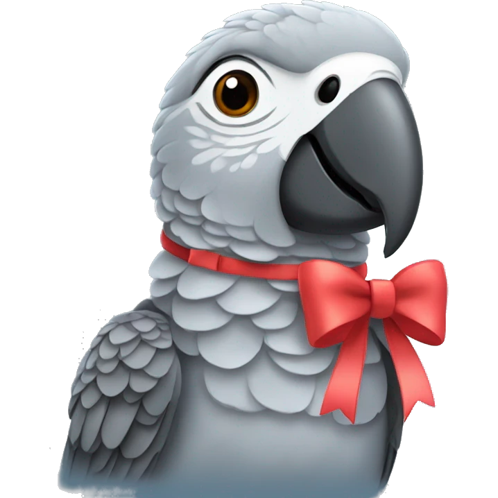 african grey parrot with a bow emoji