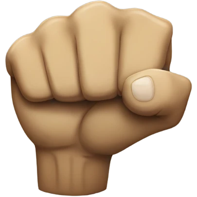 Fighting fists  emoji