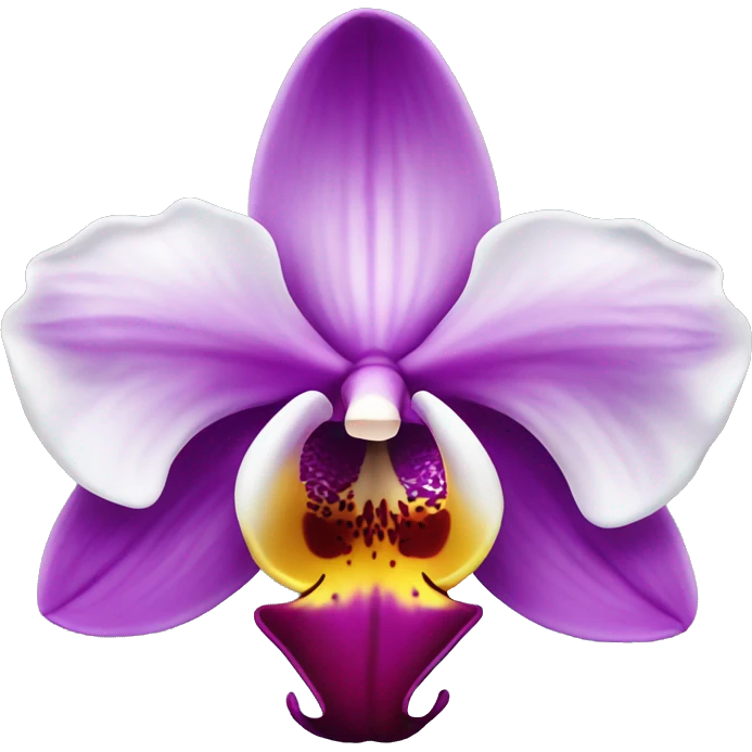 orchid flower emoji