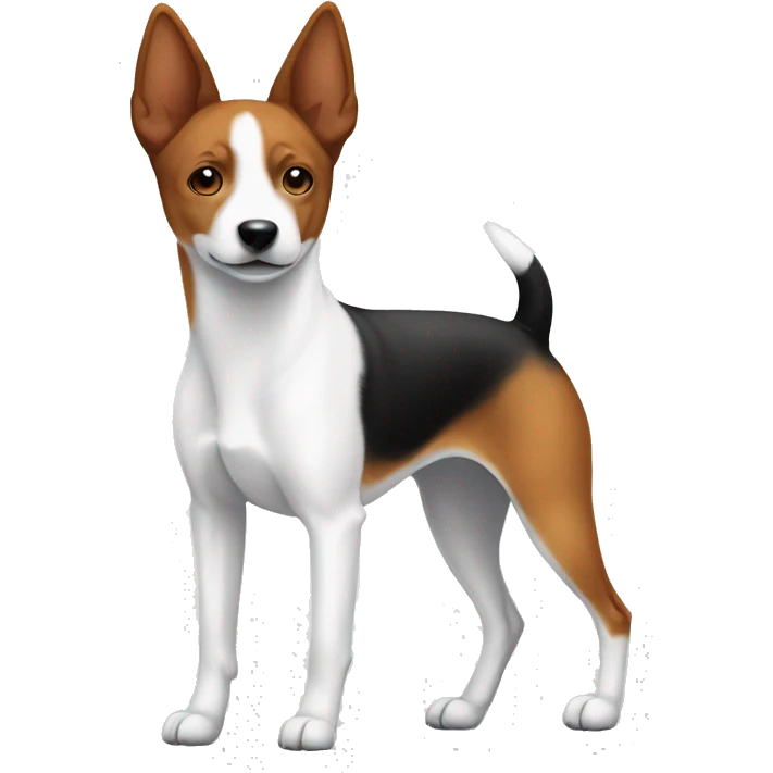 Blank and white basenji with pointy ears emoji