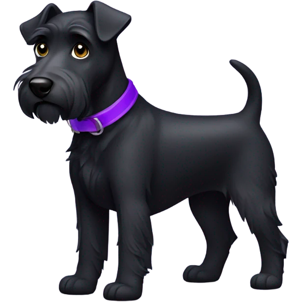 All black terrier dog with purple collar emoji
