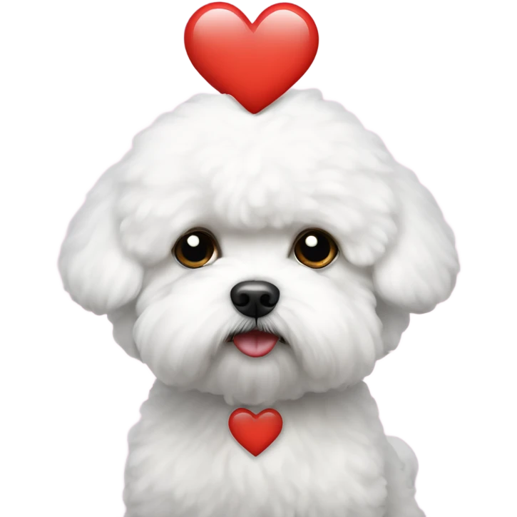 Bichon frise sad with a love heart emoji