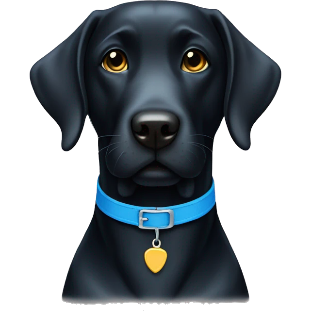 Black lab with bright blue collar emoji