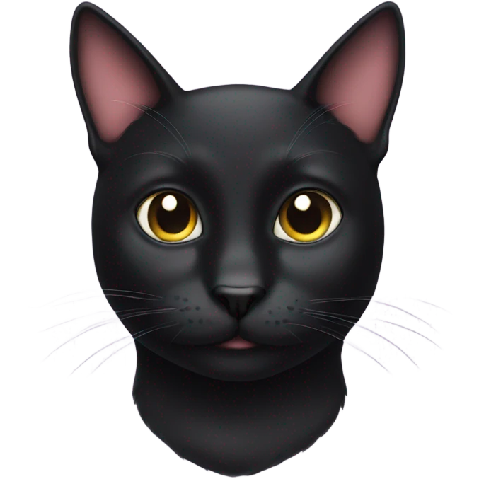 black cat with a moustache emoji