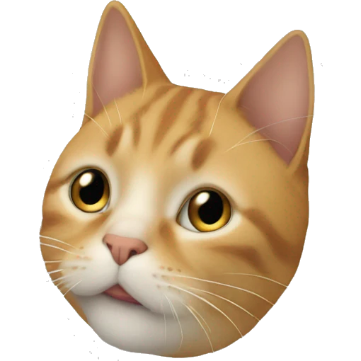 Un chat qui lève la emoji