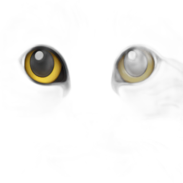 Grey come on cat emoji