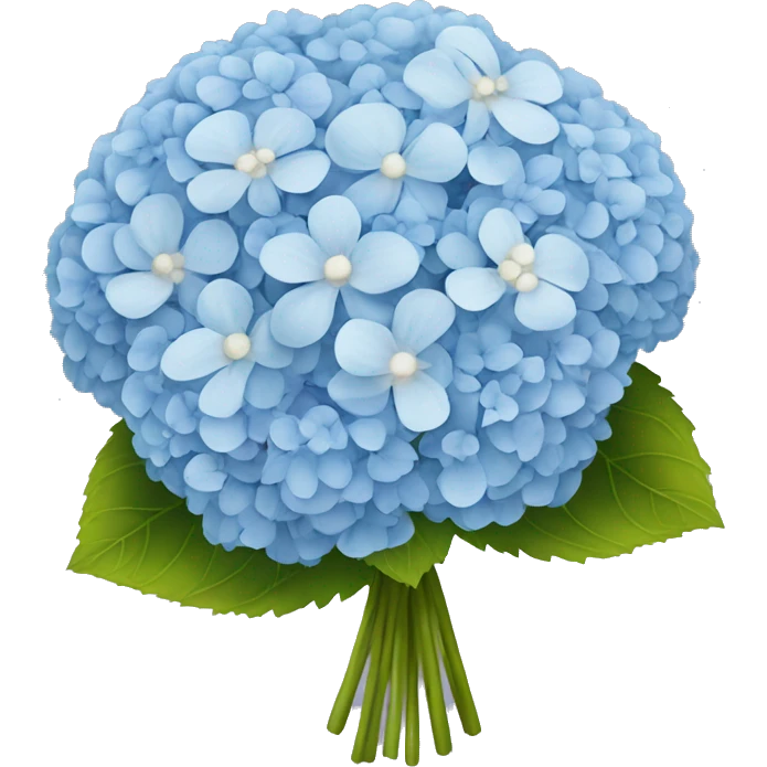 hydrangea flower bouquet with baby’s breath emoji