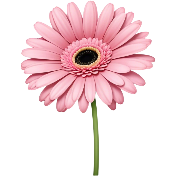 single Soft Pink Gerbera Daisy, straight stem emoji