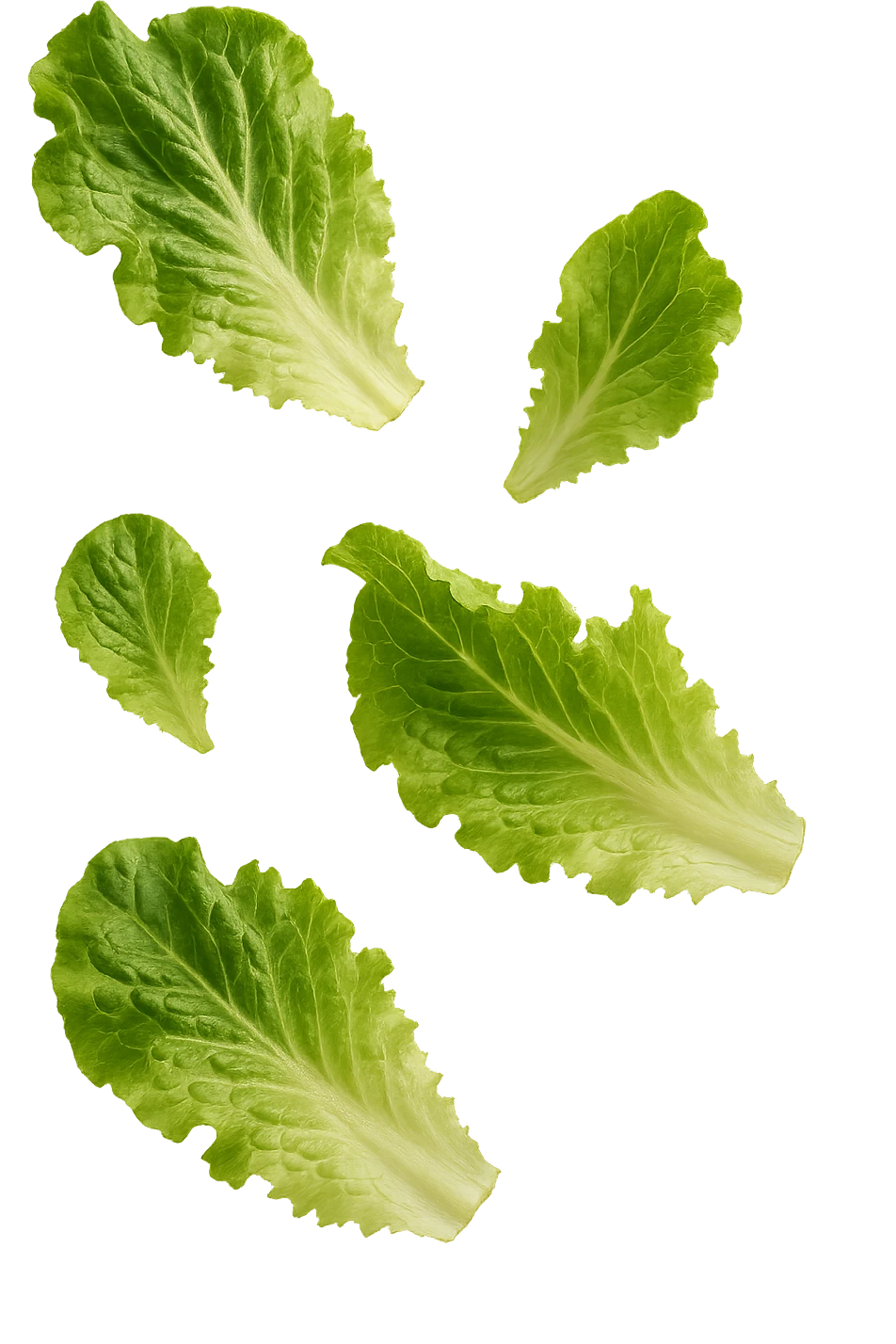 foglie di insalata fluttuano in aria, iperrealistico, non disegnato emoji