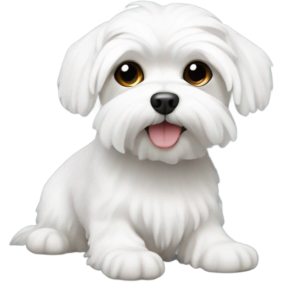 White Maltese  emoji