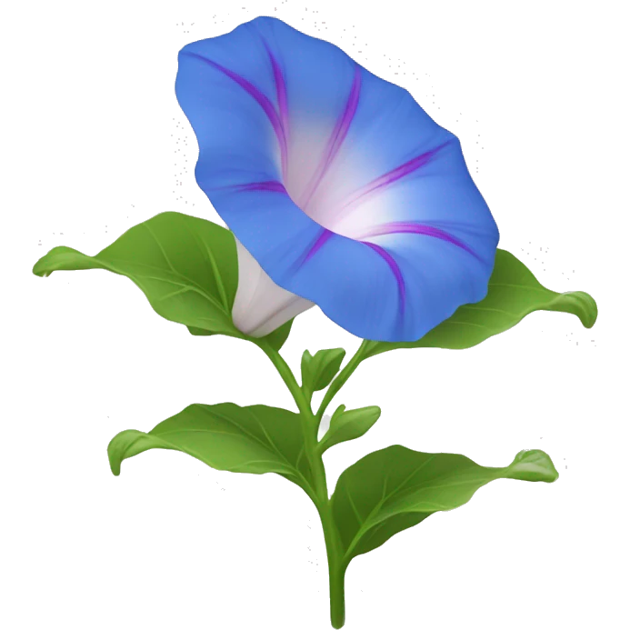 Morning glory flower  emoji